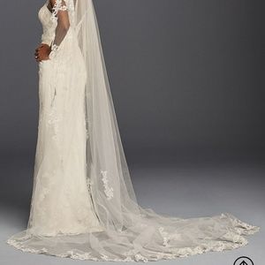 David's Bridal 1 teir cathedral length lace veil